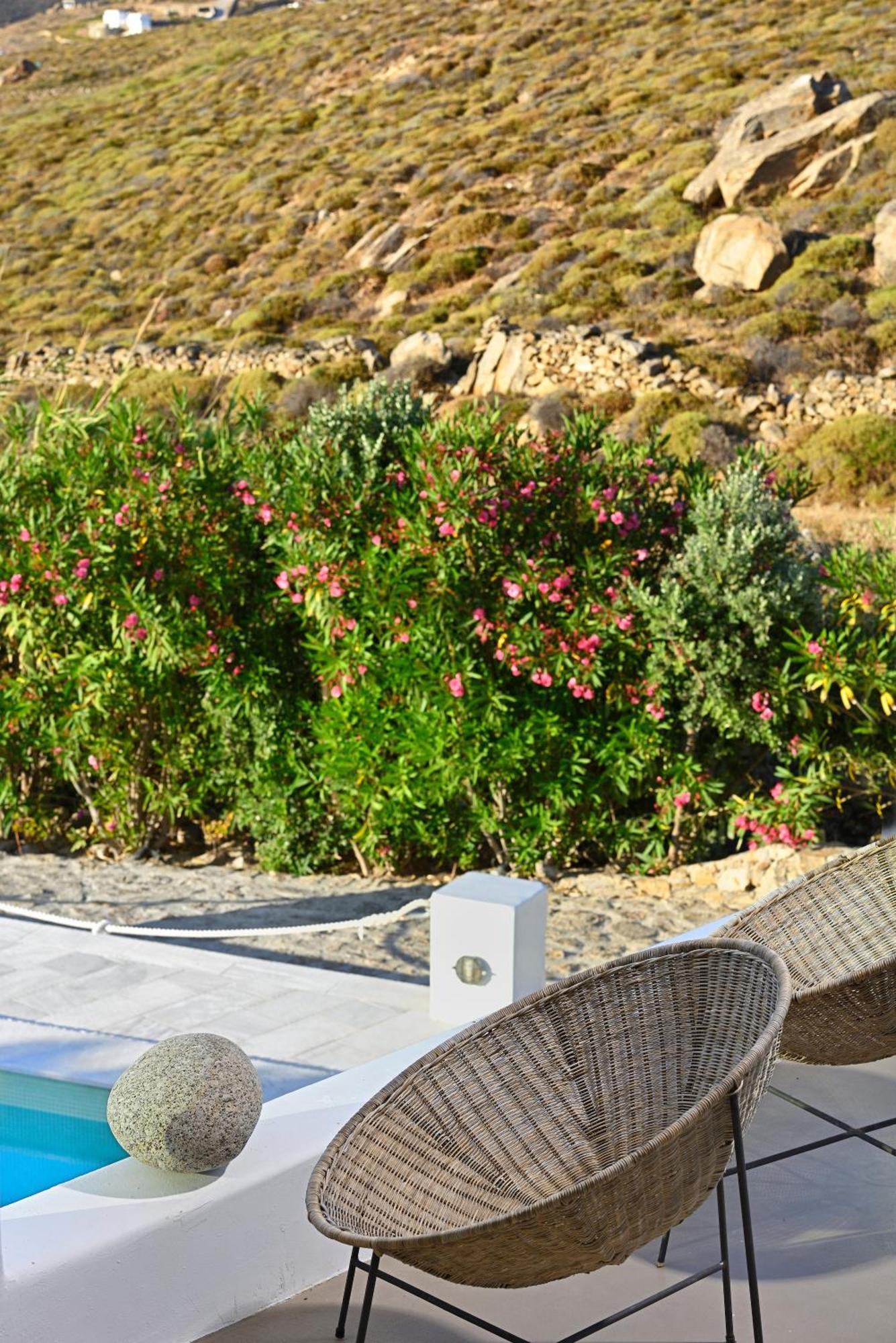 Mykonos Dream Villas Ftelia (Mykonos) Exterior foto